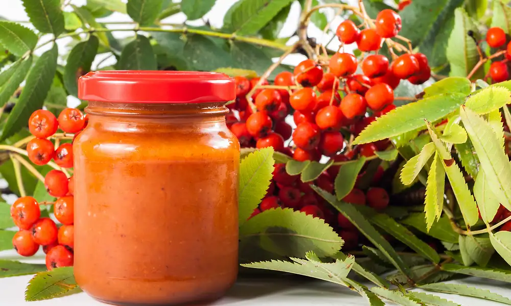 Pihlajanmarjahyytelö