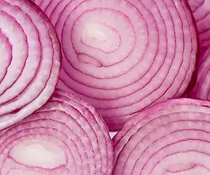 Marinoitu punasipuli