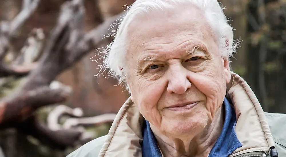 Luontohetki: Attenboroughn erikoiset