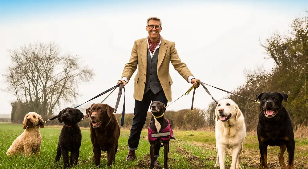 Huonosti käyttäytyvät koirat