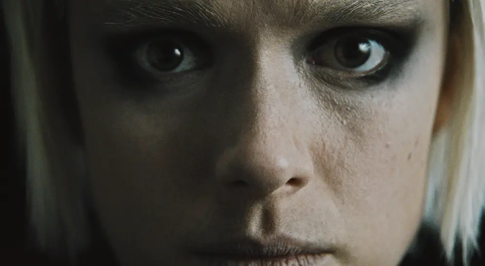 Koirat eivät käytä housuja