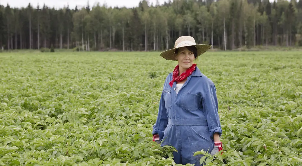 Kevyttä yläpilveä