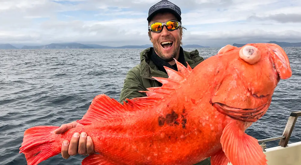 Peltsin toinen luonto