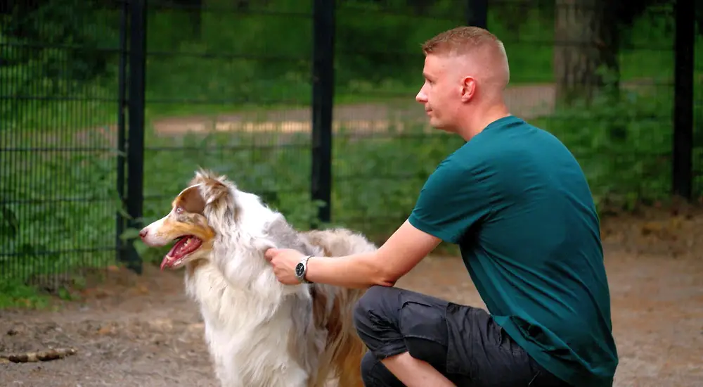 Ensitreffit alttarilla