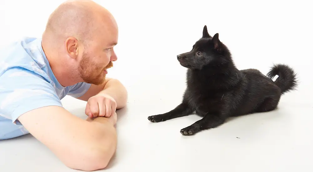 Ymmärrä koiraasi - kuka kotonasi asuu