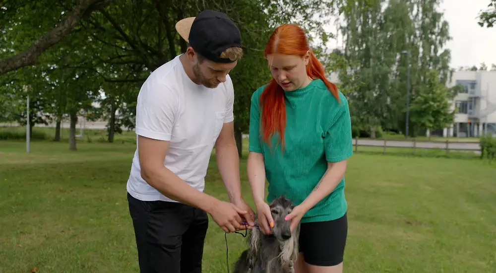 Ensitreffit alttarilla 2.0