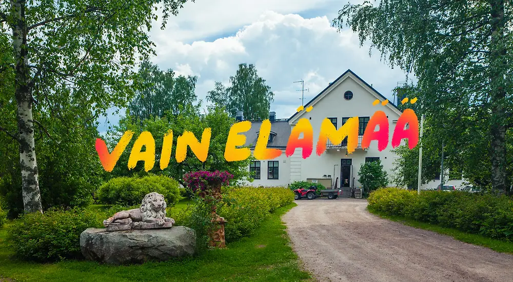 Vain elämää