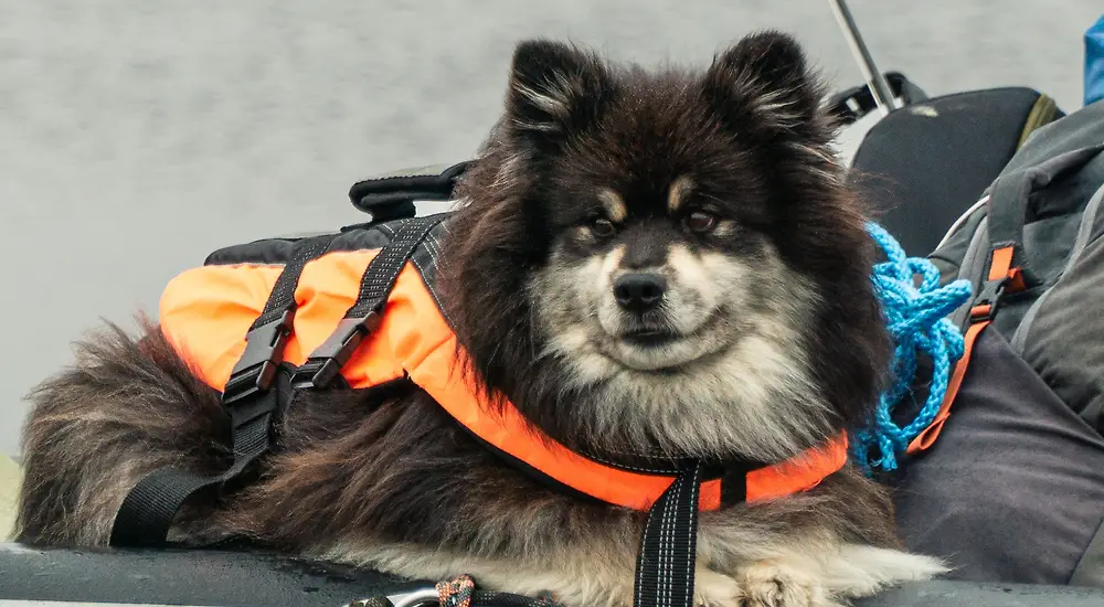 Eränkävijät: Äijän retket