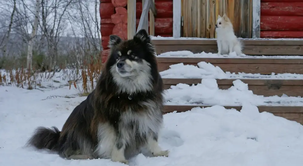 Eränkävijät: Äijän retket