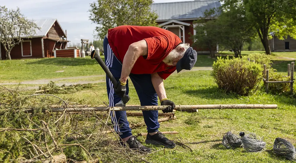 Farmi Suomi: Revanssi
