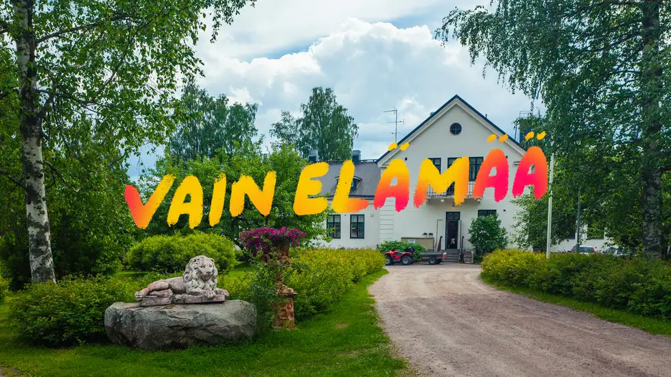 Vain elämää
