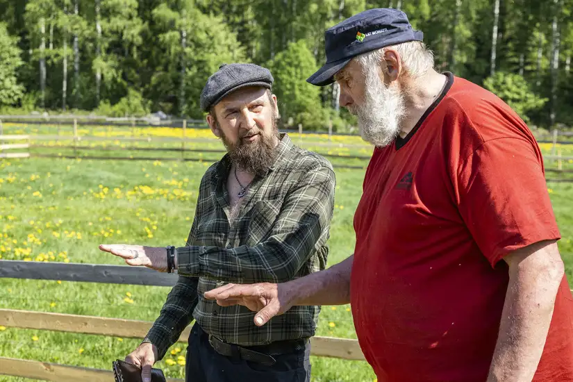 Farmi Suomi