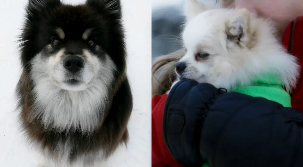 Eränkävijät: Äijän retket