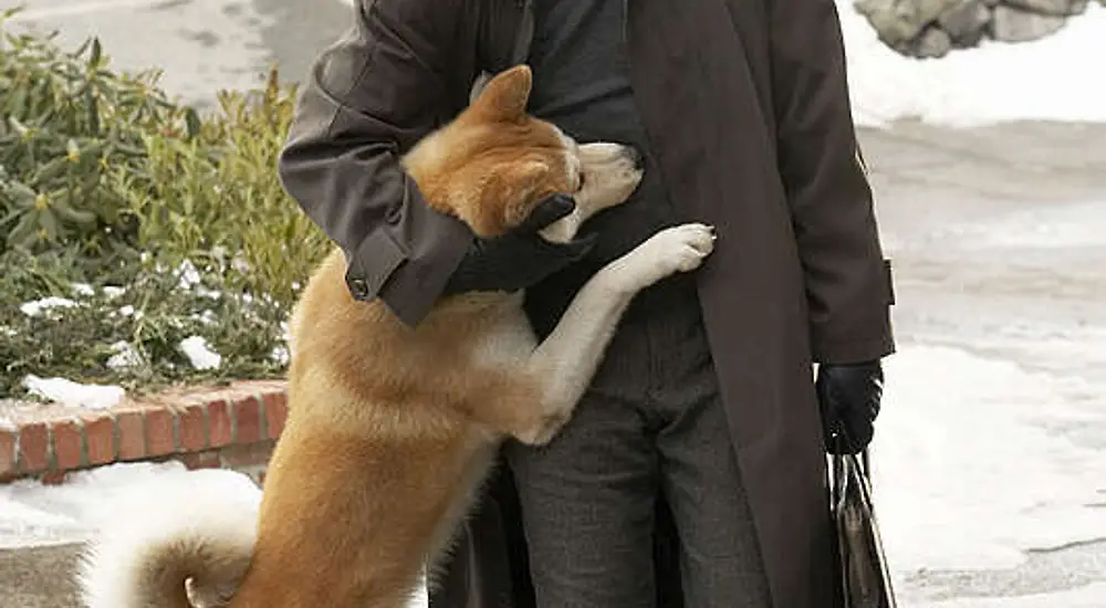 Hachiko - Tarina uskollisuudesta