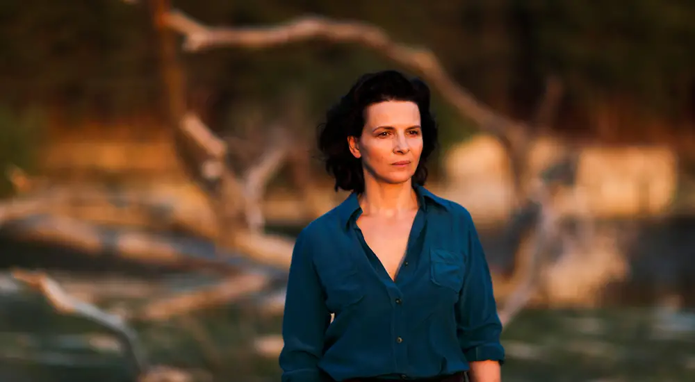 Palaa luokseni vielä