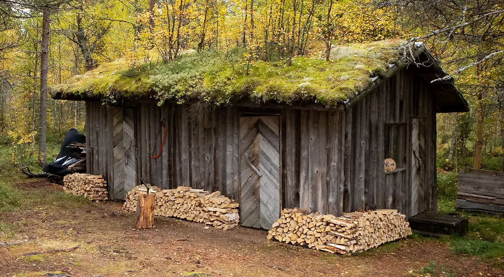 Suomen kaunein koti: Kesämökit